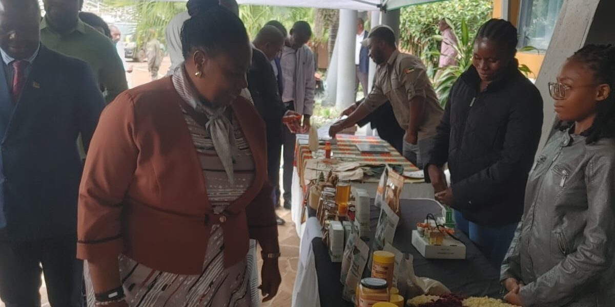 whatsapp image 2026 03 13 at 18.52.02