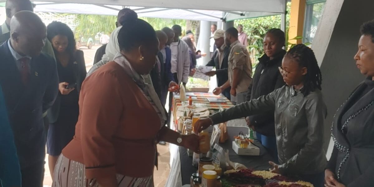 whatsapp image 2026 03 13 at 18.52.04