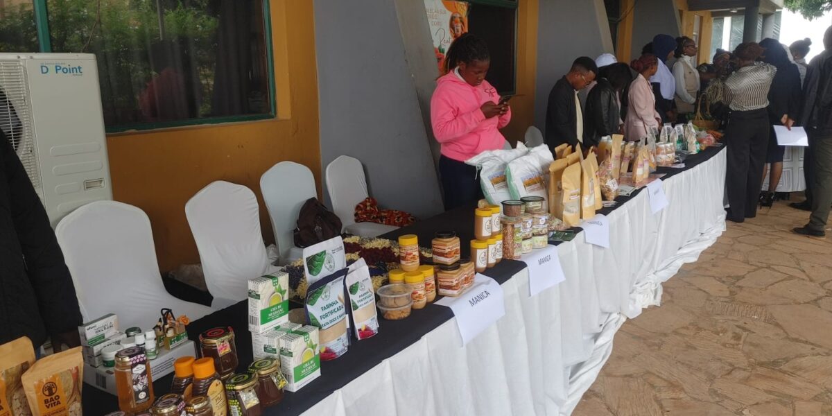 whatsapp image 2026 03 13 at 18.52.05